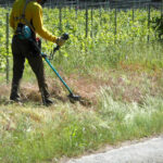 太陽光発電施設に草刈りは欠かせない?草刈りをしないとどうなる?