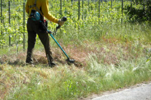 太陽光発電施設に草刈りは欠かせない？草刈りをしないとどうなる？