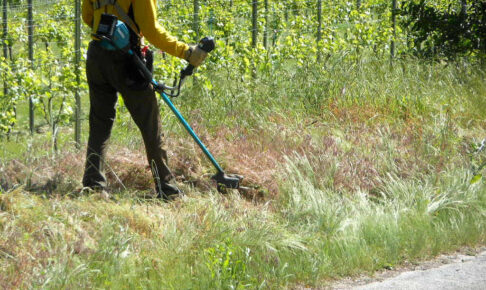 太陽光発電施設に草刈りは欠かせない？草刈りをしないとどうなる？